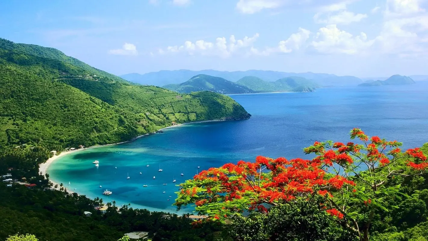 智慧智能